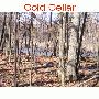 Cold Cellar