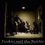 Junkie and the Spider