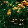 Bolot feat Top FX