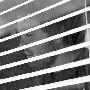 Disquiet Music