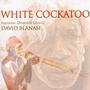White Cockatoo