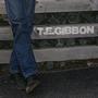 T.E. Gibbon
