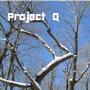 Project Q