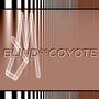 Blind Coyote