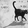 Gatto Nero