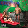 Circle 13