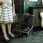 The Becky Chace Band