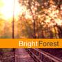 BrightForest