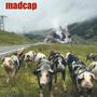 Madcap