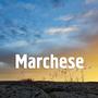 Marchese