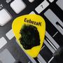 Eebezak