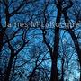 James M LaRocque