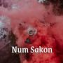 Num Sakon