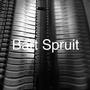 Bart Spruit