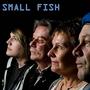 Small Fish