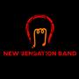 The New Sensation Band