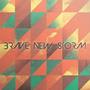 Brave New Storm