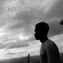Echosoul