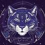 Cosmic Wildcat Radio