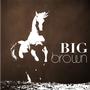 Big Brown