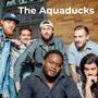 The Aquaducks